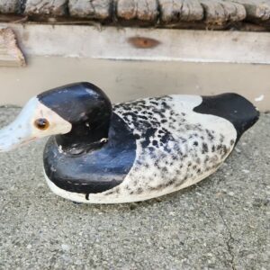 57_69a15818-1e07-44a6-8018-64f194c12638.jpg Vintage Old Sqauw Wisconsin Decoy Peshtiso Wood Duck Decoy Hunting Bird Rare