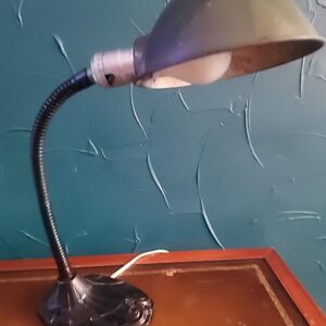 Vtg 1920's Faries Mfg. Art Deco Flex Goose Neck Desk Lamp Light Original S 7460