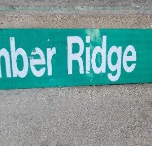 Timber Ridge Metal Street Sign Green 6" X 24" Vintage Reflective RARE Cave Man