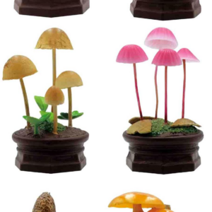 Mushroom Blind Box Assortment