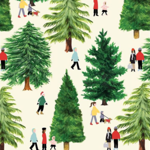 Tree Farm Holiday Card