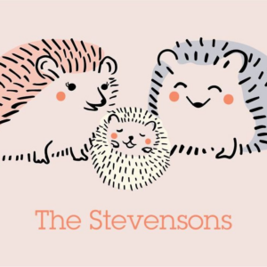 Hedgehogs Baby Thank You Notes