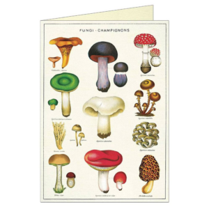 619419143.png Mushrooms Greeting Card