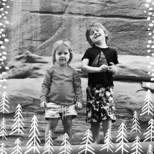 Pollenpine Snow Vertical Christmas Photo Card