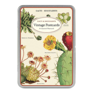 619419777.png Succulents Carte Postale Postcard Set