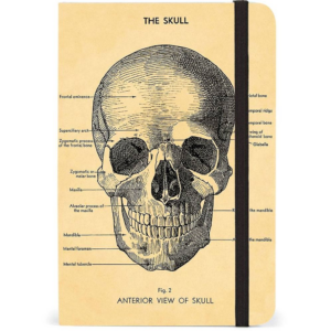619419954.png Skull Journal