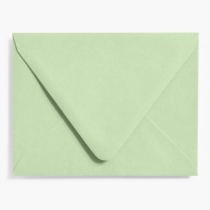 619421108.png Eucalyptus A2 Envelopes