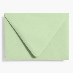 619421114.png Eucalyptus A6 Envelopes