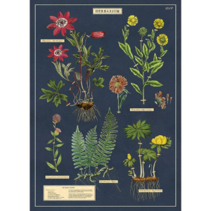 619421890.png Herbarium Flat Wrap