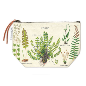 619421914.png Ferns Pouch