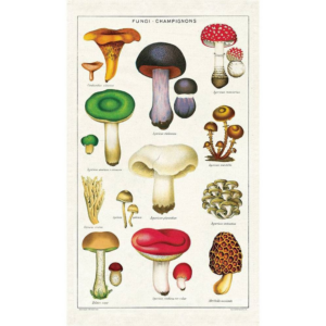 619422157.png Mushroom Tea Towel