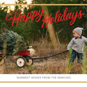 Holiday Trim Foil Photo Card