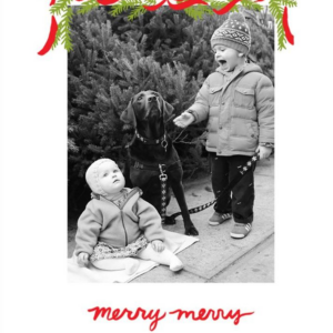 619423044.png Pine Mantel Photo Card