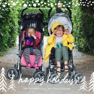 Pollenpine Snow Holiday Photo Card