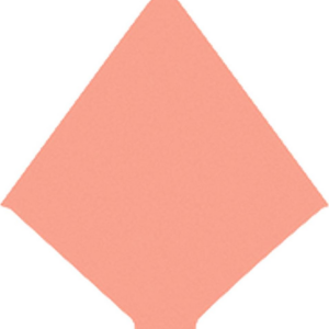 A2 Coral Envelope Liners