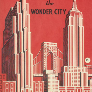 619424472_cca2c180-f51d-4989-a6a9-861896852495.png New York Wonder City Flat Wrap