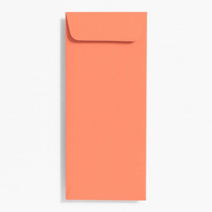 619425016.png #10 Open End Papaya Envelopes