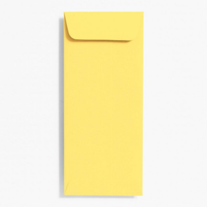 619425048.png #10 Open End Sunshine Envelopes