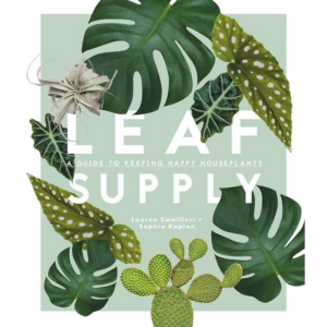 619425467.png Leaf Supply: A Guide to Keeping Happy House Plants