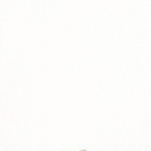 Stack of Letters Stationery