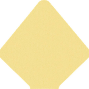 Shimmer Gold A9 Liners