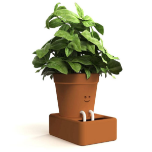 619426142.png Self Care Planter