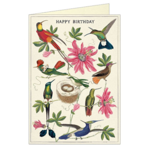 619426244.png Hummingbirds Birthday Card