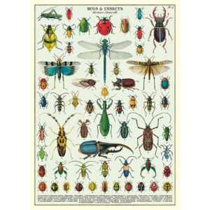 Bugs & Insects Flat Wrap & Poster