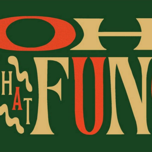 619428249.png Just for Fun Green Holiday Card