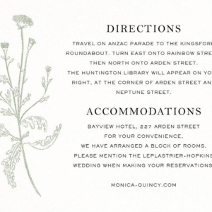 Fine Dandelion Information Card