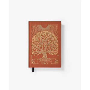 Intelligent Change Notes to Mindfulness Sunset