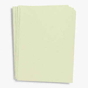 619430494_6b1d5c75-c9fe-4119-8cde-932100282a52-1.png Sage Card Stock 26" x 20"