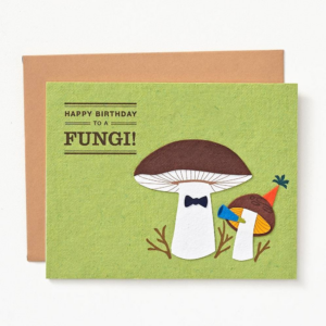 619433091.png Happy Birthday to a Fungi Card