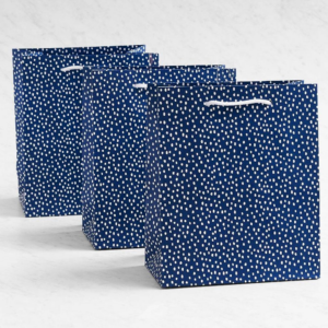 Navy Flurry Gift Bag Set