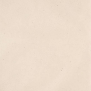 Lokta Natural Handmade Paper