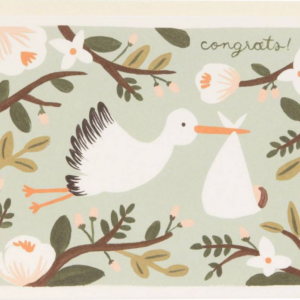 619437204.png Stork Baby Card