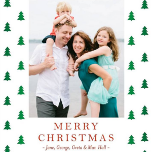 Border Trees Photo Card