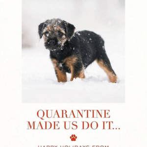 Quarantine Made Us Do It Photo Card