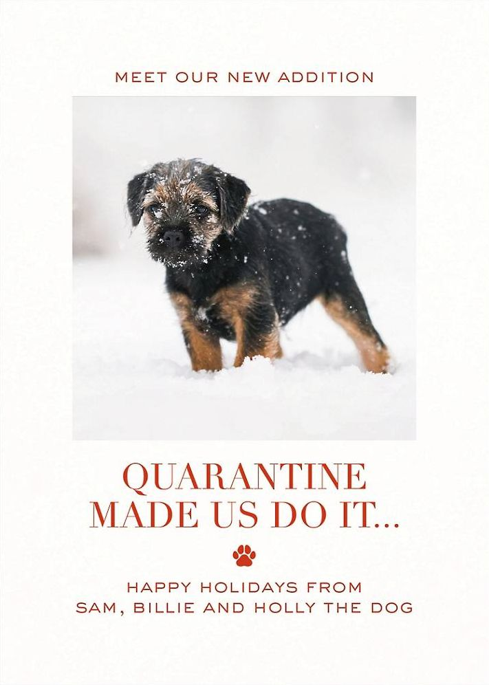 Quarantine Made Us Do It Photo Card