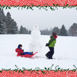 619445756.png Holly on the Banister Photo Card