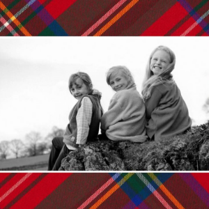 Tartan Holiday Photo Card