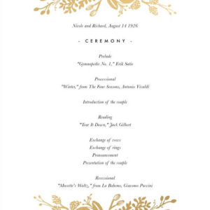 619446914.png Floral Silhouette Foil Program