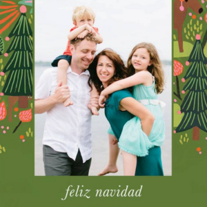 Reindeer Glades Photo Card