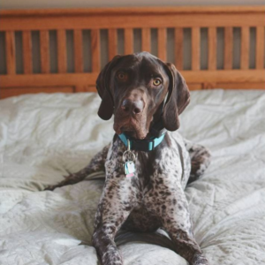 Full-Page Square Double-Sided Photo Card