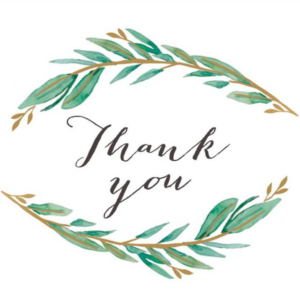 Olive Branch Stationery