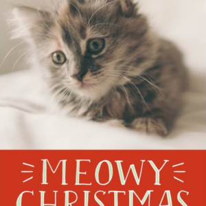 Meowy Christmas Holiday Photo Card