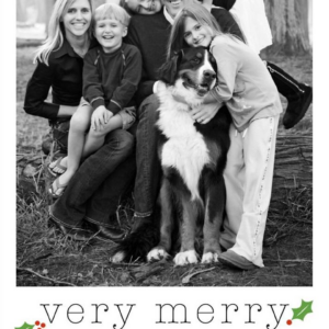 Very Merry Holly Holiday Photo Card