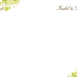 619448497.png Spring Orchard Stationery