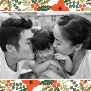 Holiday Potpourri Frame Photo Card