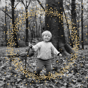 Wreath of Stars Holiday Photo Card